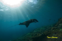 Flying @ Bali by Taco Cheung 